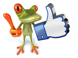 Lustige Bilder Zum Posten Bei Facebook