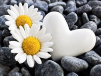  Herz mit zwei Blüten als Symbol für die Verlobung